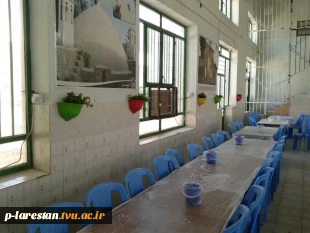 درختکاری