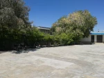 درختکاری