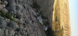 کارکنان آموزشکده فنی لارستان به مناسبت سالگرد پیروزی شکوهمند انقلاب اسلامی کوهپیمایی نمودند. 2