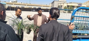 درختکاری