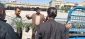 کاشت نهال در آموزشکده فنی