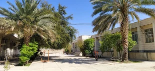 درختکاری