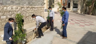 کاشت 18 نهال به مناسبت روز درختکاری در آموزشکده فنی وحرفه ای لارستان  3