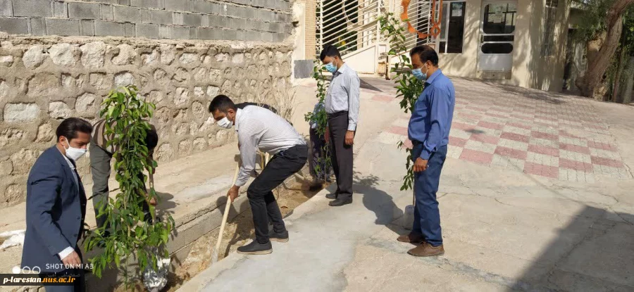 کاشت 18 نهال به مناسبت روز درختکاری در آموزشکده فنی وحرفه ای لارستان  3