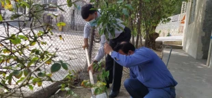 کاشت 18 نهال به مناسبت روز درختکاری در آموزشکده فنی وحرفه ای لارستان  4