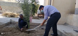 کاشت 18 نهال به مناسبت روز درختکاری در آموزشکده فنی وحرفه ای لارستان  5