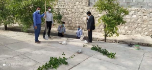 کاشت 18 نهال به مناسبت روز درختکاری در آموزشکده فنی وحرفه ای لارستان  7