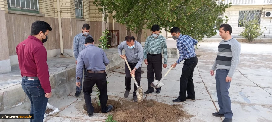 احیا فضای سبز آموزشکده به مناسبت روز درختکاری 3