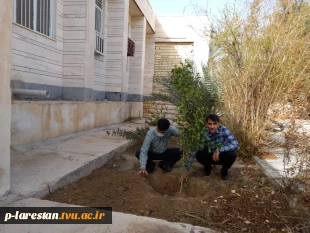 احیا فضای سبز آموزشکده به مناسبت روز درختکاری 4