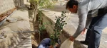 احیا فضای سبز آموزشکده به مناسبت روز درختکاری 5