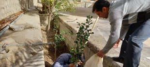 احیا فضای سبز آموزشکده به مناسبت روز درختکاری 5