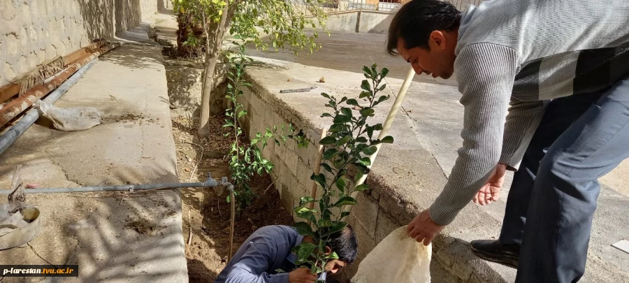 احیا فضای سبز آموزشکده به مناسبت روز درختکاری 5
