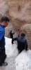 کوهپیمایی جمعی از کارکنان آموزشکده به مناسبت دهه مبارک فجر و عید مبعث 6
