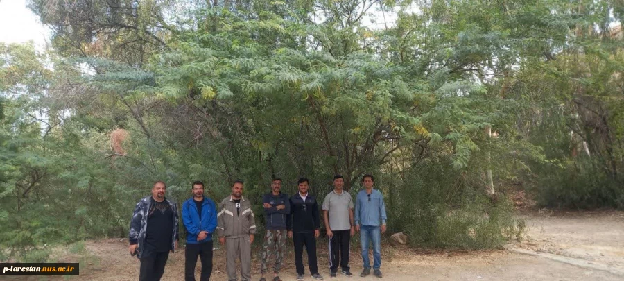 شروع مجدد ورزش همگانی در دانشگاه ملی مهارت لارستان  2