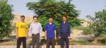 پیاده روی صبحگاهی به مناسبت روز جهانی ورزش دانشگاهی در آموزشکده ملی مهارت لارستان  2
