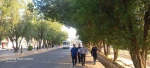 پیاده روی صبحگاهی به مناسبت روز جهانی ورزش دانشگاهی در آموزشکده ملی مهارت لارستان  3